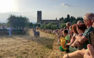 Palio dei ciuchi a San Donato in Poggio